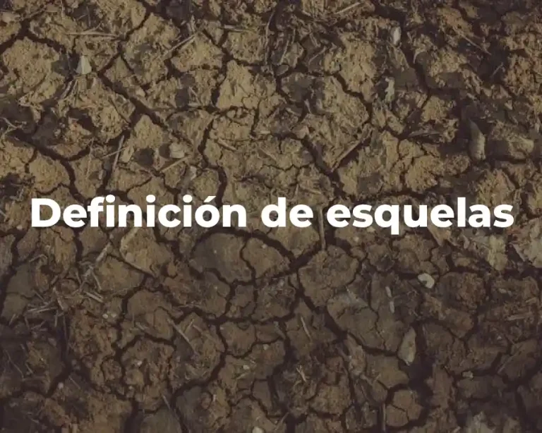 Definición de esquelas
