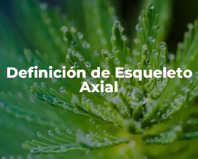 Definición de Esqueleto Axial