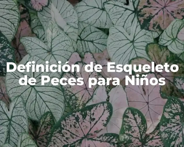Definición de Esqueleto de Peces para Niños
