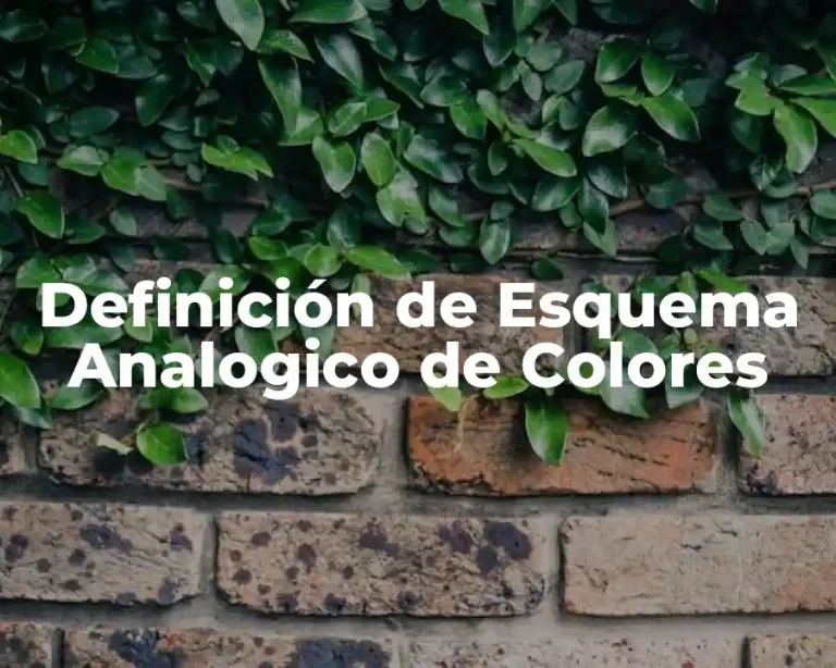 Definición de Esquema Analogico de Colores