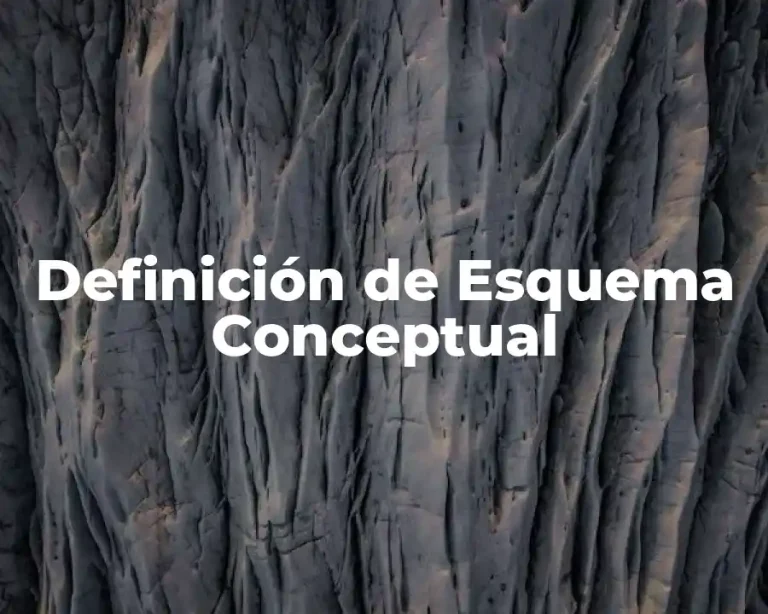 Definición de Esquema Conceptual