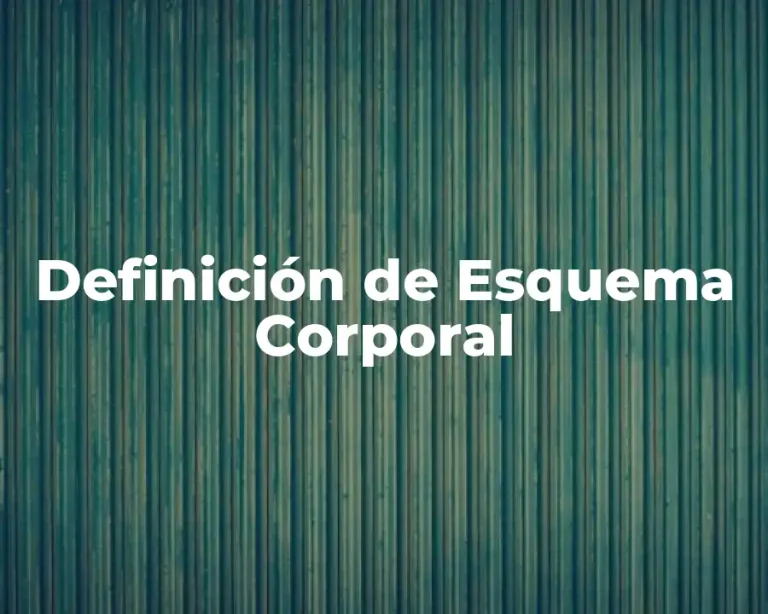 Definición de Esquema Corporal