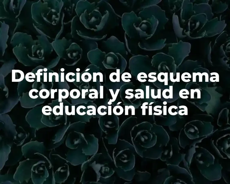 Definición de esquema corporal y salud en educación física