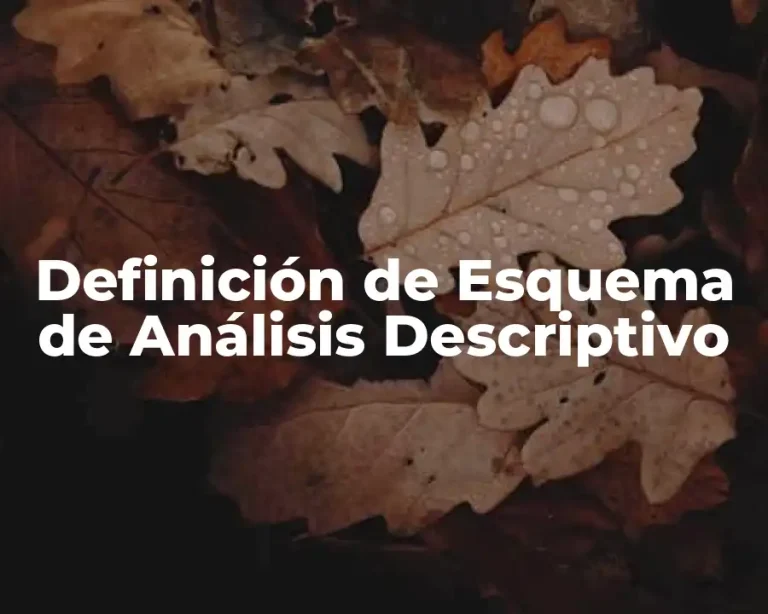 Definición de Esquema de Análisis Descriptivo