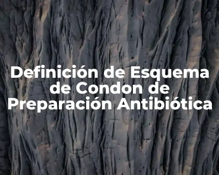 Definición de Esquema de Condon de Preparación Antibiótica