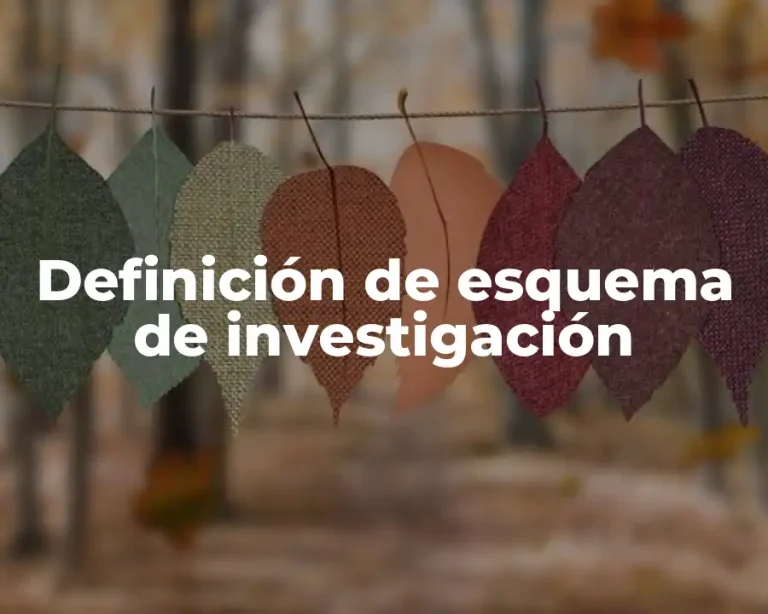 Definición de esquema de investigación