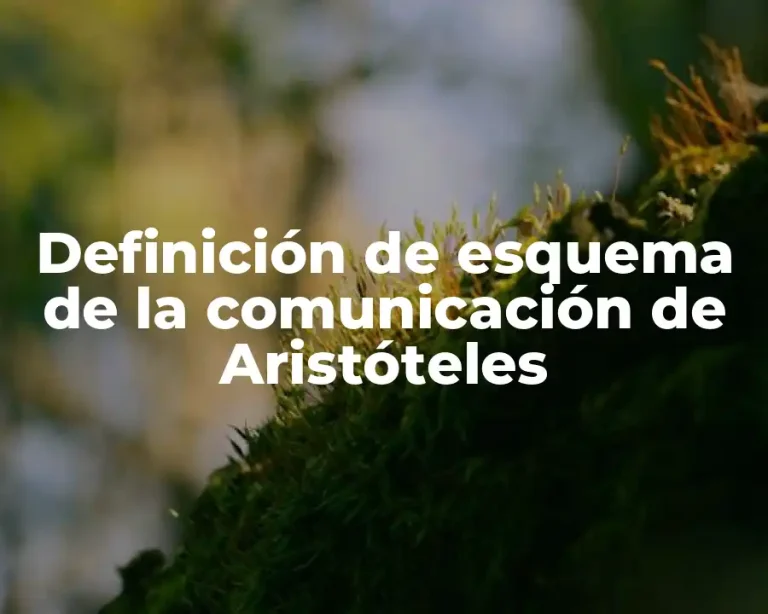 Definición de esquema de la comunicación de Aristóteles