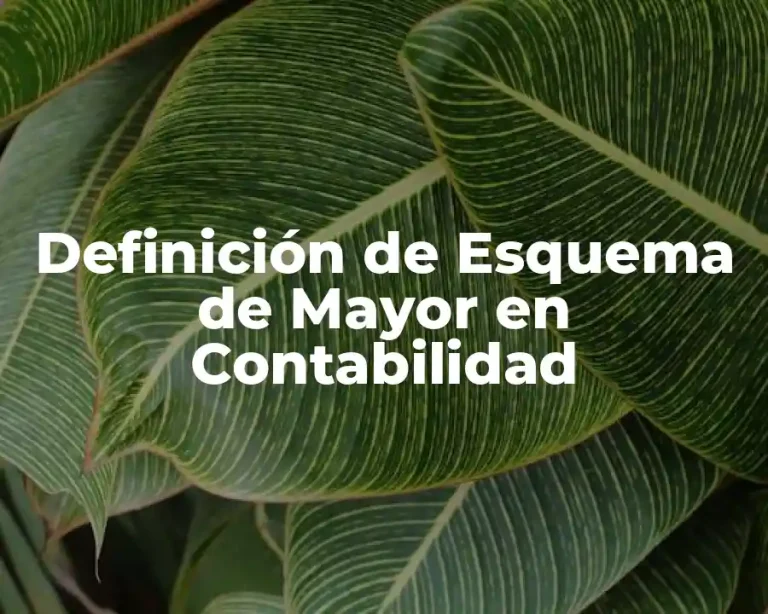 Definición de Esquema de Mayor en Contabilidad