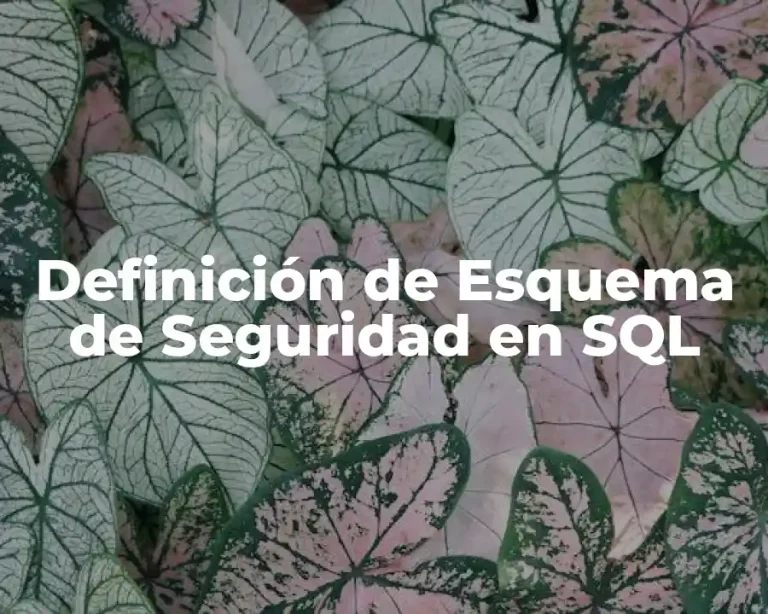 Definición de Esquema de Seguridad en SQL