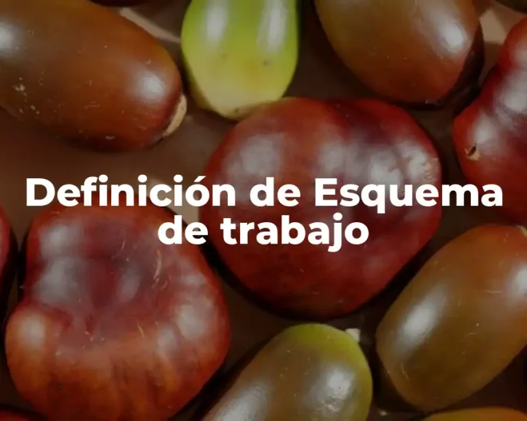 Definición de Esquema de trabajo