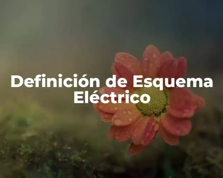 Definición de Esquema Eléctrico