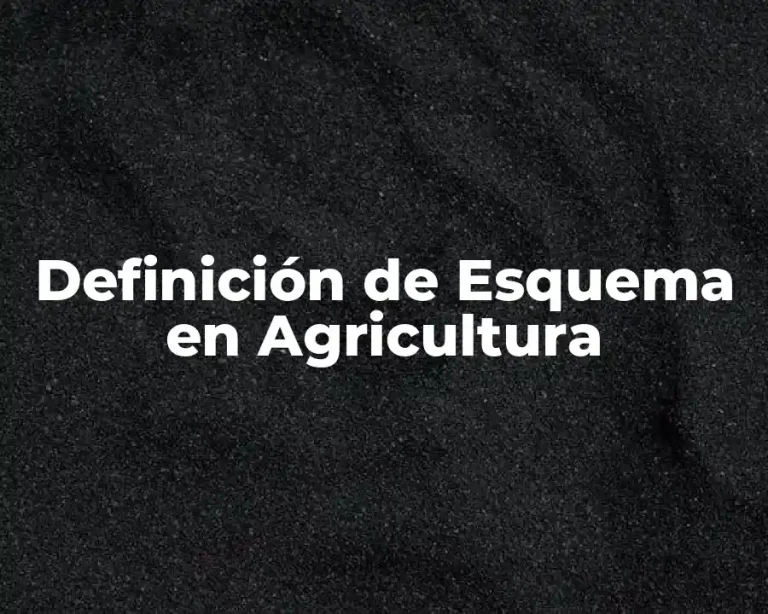 Definición de Esquema en Agricultura