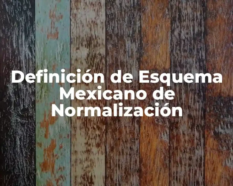 Definición de Esquema Mexicano de Normalización