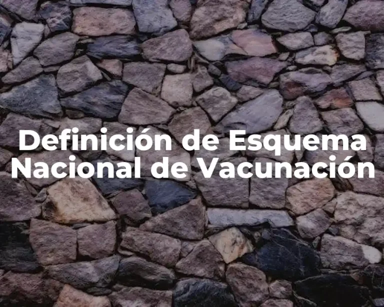 Definición de Esquema Nacional de Vacunación