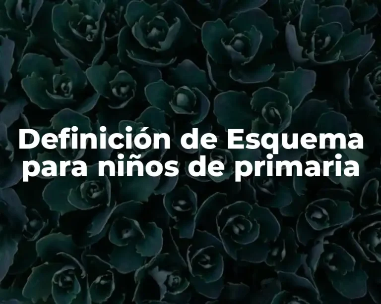 Definición de Esquema para niños de primaria