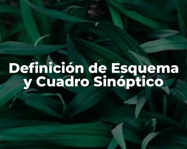 Definición de Esquema y Cuadro Sinóptico
