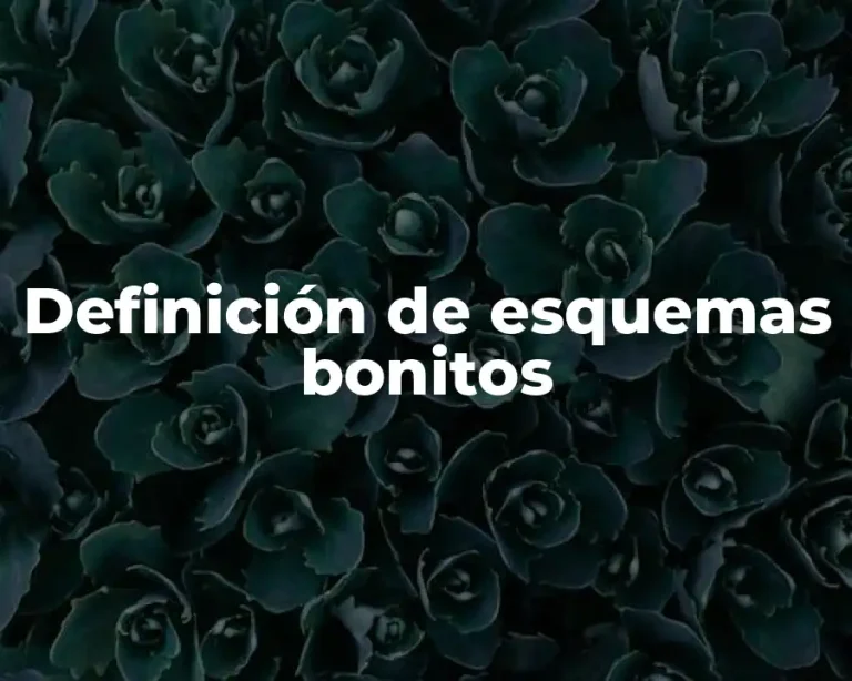 Definición de esquemas bonitos