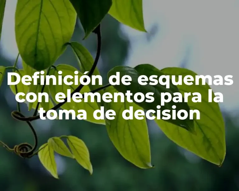 Definición de esquemas con elementos para la toma de decision