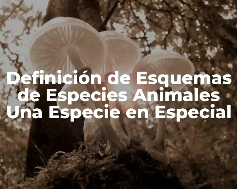 Definición de Esquemas de Especies Animales Una Especie en Especial