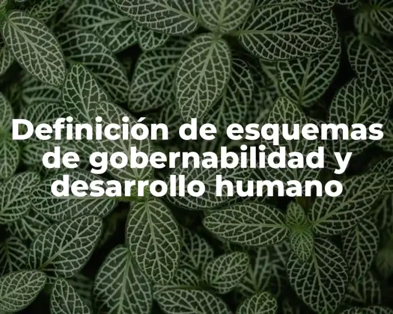Definición de esquemas de gobernabilidad y desarrollo humano