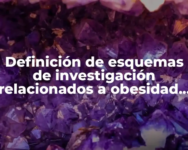 Definición de esquemas de investigación relacionados a obesidad infantil