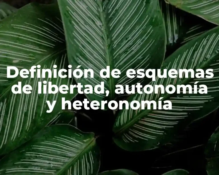 Definición de esquemas de libertad, autonomía y heteronomía