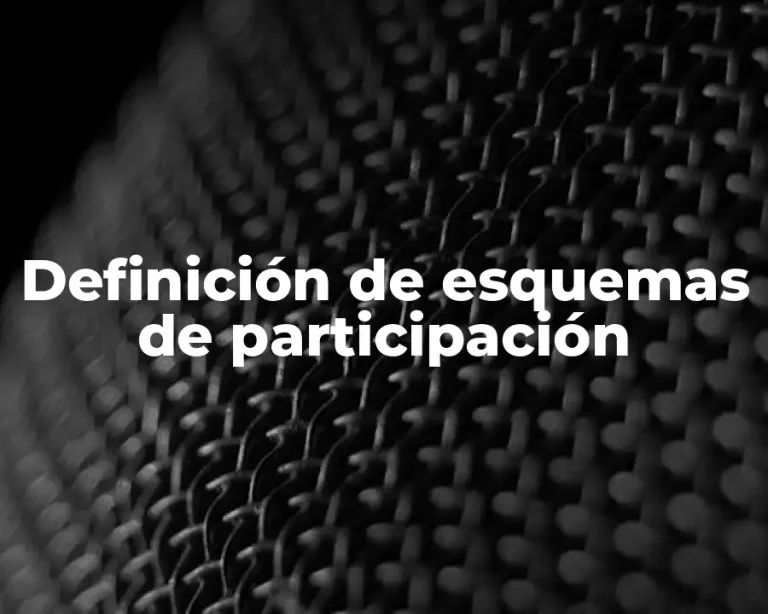 Definición de esquemas de participación
