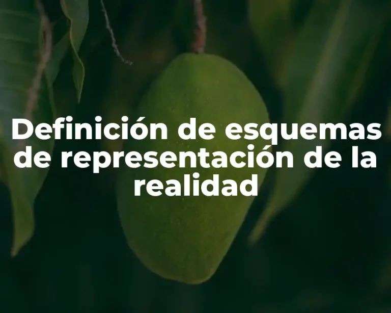 Definición de esquemas de representación de la realidad