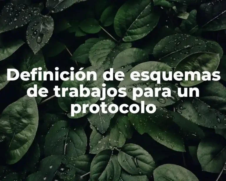 Definición de esquemas de trabajos para un protocolo