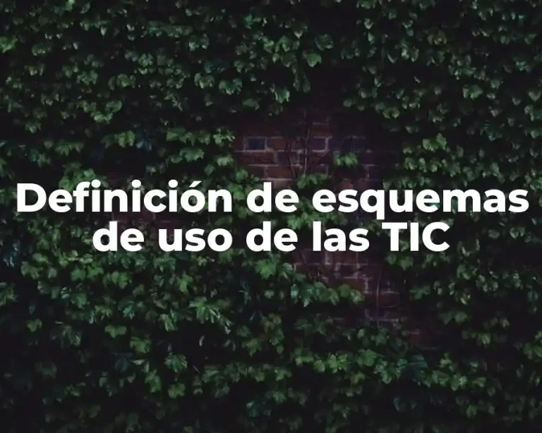 Definición de esquemas de uso de las TIC