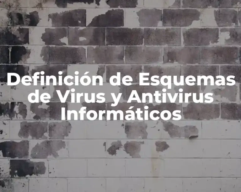 Definición de Esquemas de Virus y Antivirus Informáticos