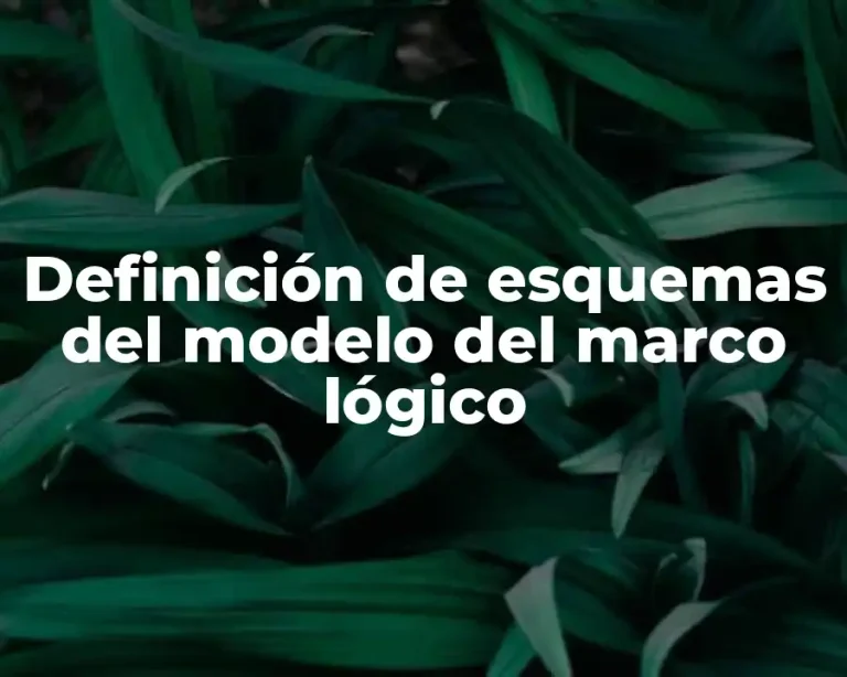 Definición de esquemas del modelo del marco lógico