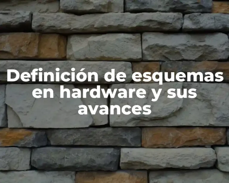 Definición de esquemas en hardware y sus avances