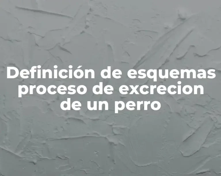 Definición de esquemas proceso de excrecion de un perro