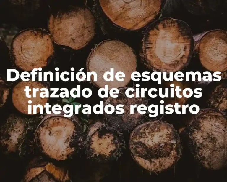 Definición de esquemas trazado de circuitos integrados registro