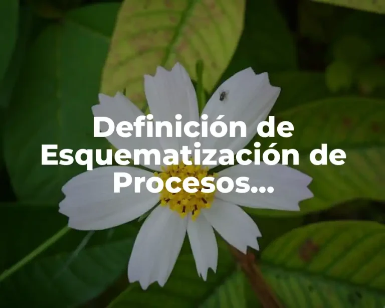 Definición de Esquematización de Procesos Administrativos
