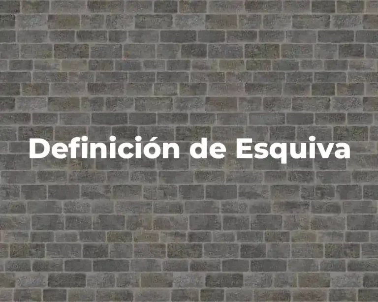Definición de Esquiva