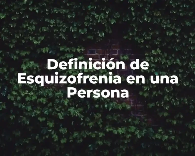 Definición de Esquizofrenia en una Persona