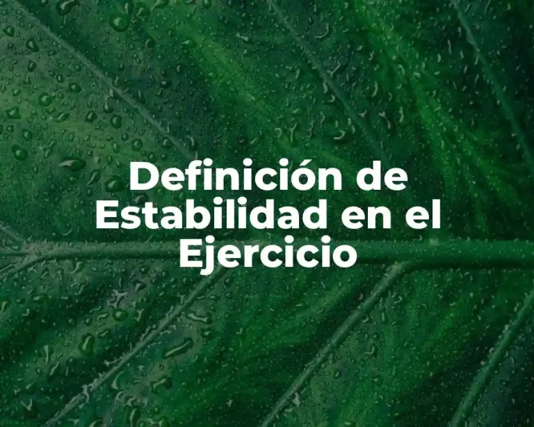 Definición de Estabilidad en el Ejercicio