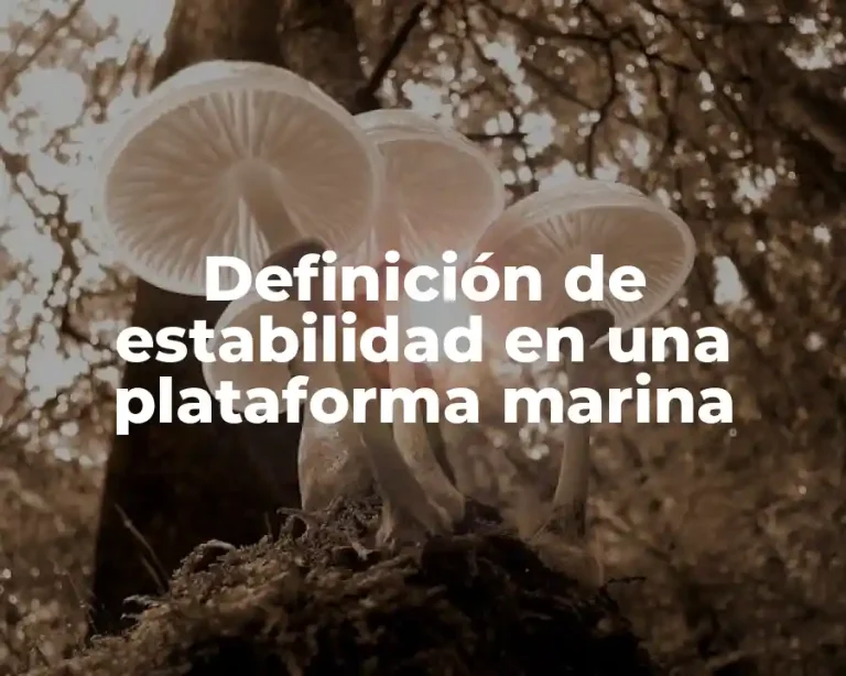 Definición de estabilidad en una plataforma marina