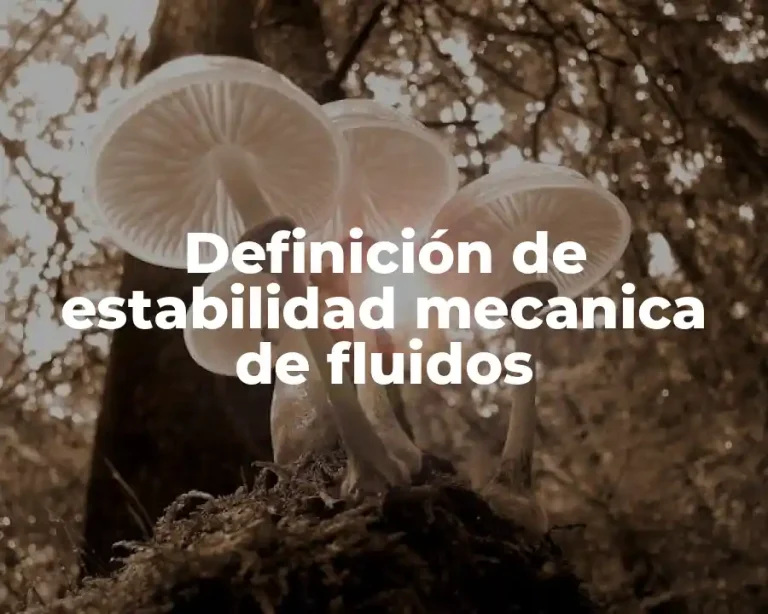 Definición de estabilidad mecanica de fluidos