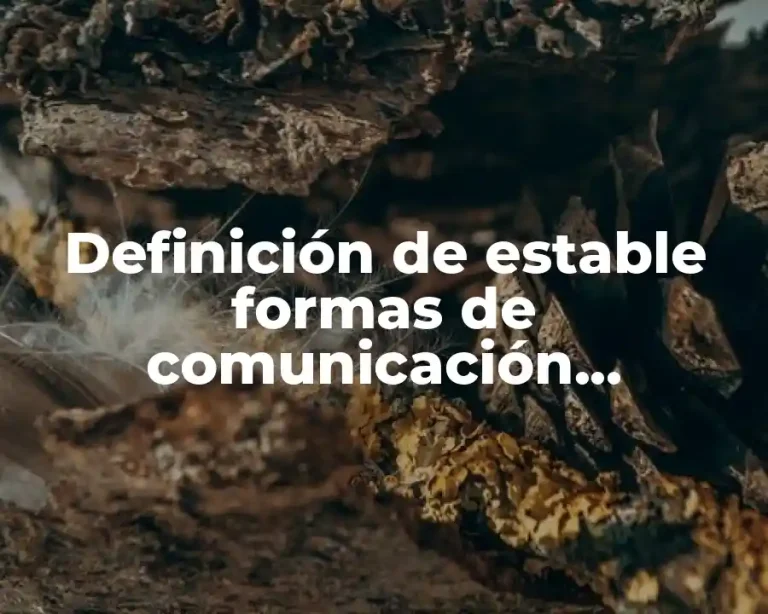 Definición de estable formas de comunicación interacción y negociación