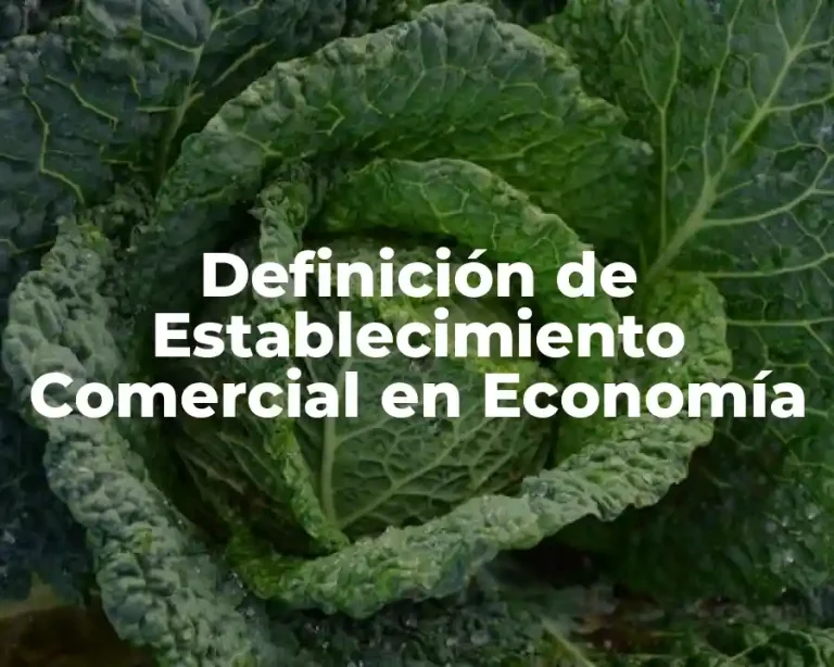 Definición de Establecimiento Comercial en Economía