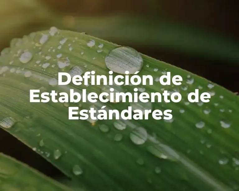 Definición de Establecimiento de Estándares