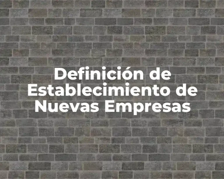 Definición de Establecimiento de Nuevas Empresas