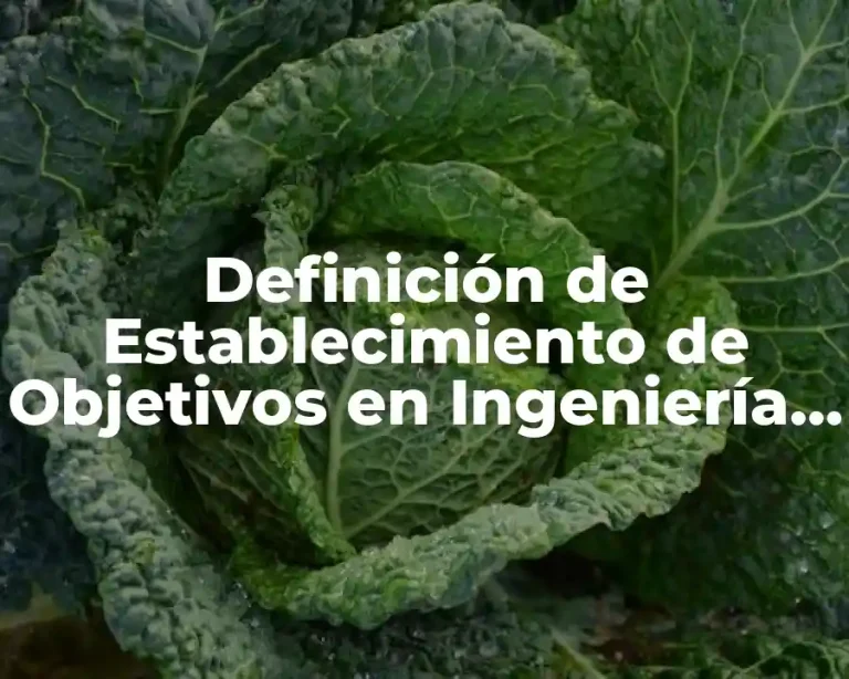 Definición de Establecimiento de Objetivos en Ingeniería de Sistemas