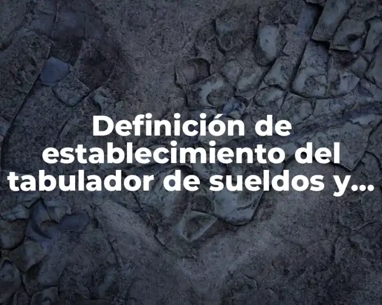 Definición de establecimiento del tabulador de sueldos y salarios