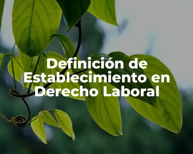 Definición de Establecimiento en Derecho Laboral