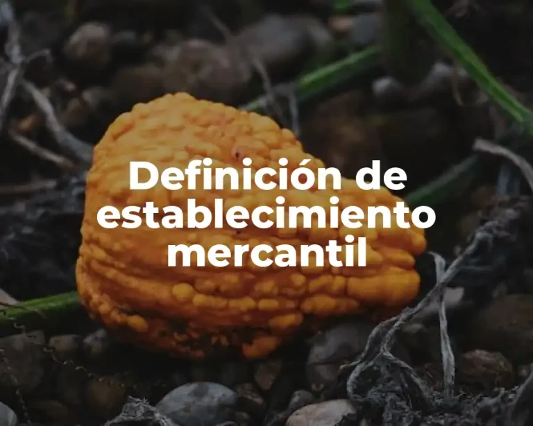 Definición de establecimiento mercantil