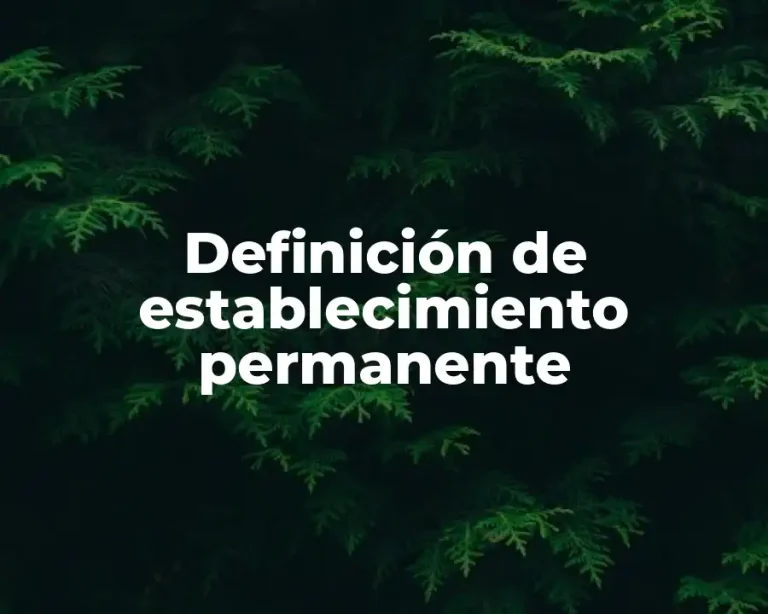 Definición de establecimiento permanente